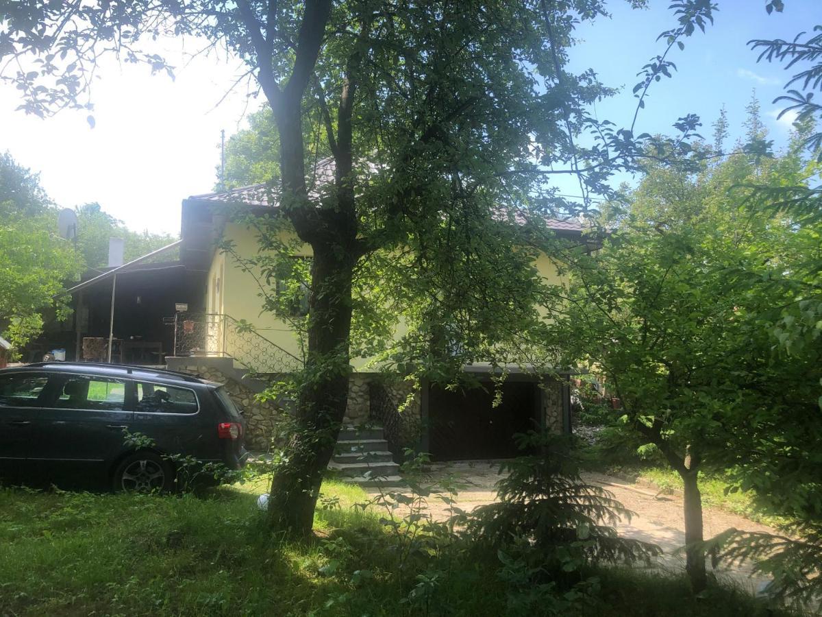 Casuta Mamaiei Lizeta - Baltatesti Exterior foto