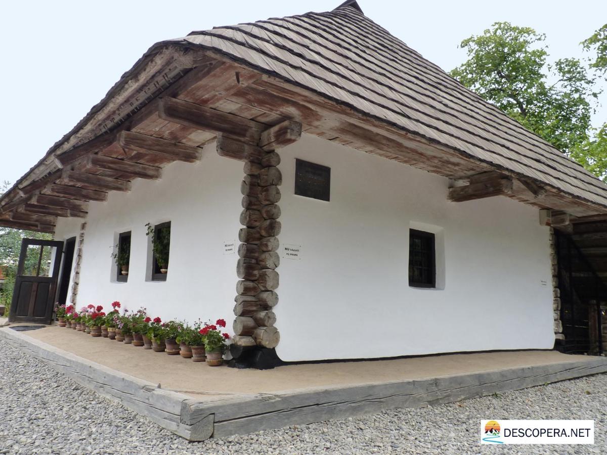 Casuta Mamaiei Lizeta - Baltatesti Exterior foto